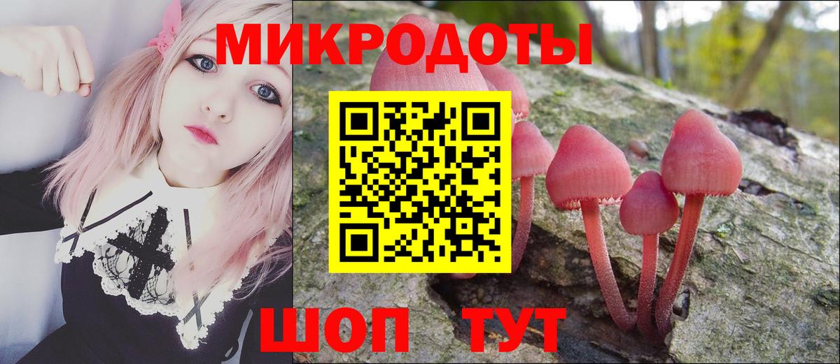 Галлюциногенные грибы Cubensis Гуково