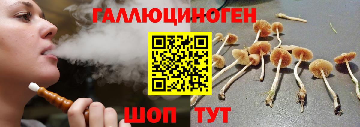 Галлюциногенные грибы мицелий  что такое   Псилоцибиновые грибы Magic Shrooms  Гуково  Вход с VPN 